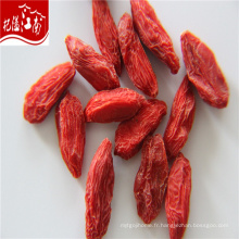 Ningxia biologique